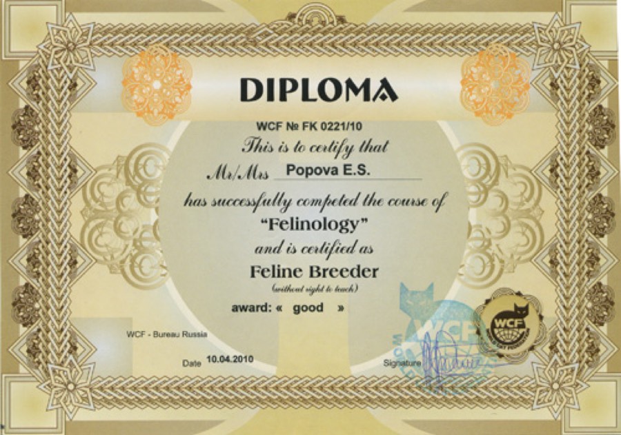 Diploma WCF · Feline Breeder (2010)